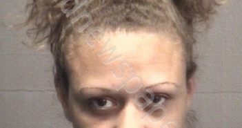 JACOBS, SOPHIA RENEE | 2018-11-14 New Hanover County, North Carolina Booking