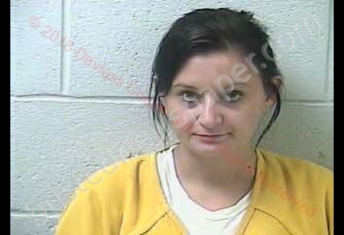JESSICA REBECCA LEE PETIT #, Daviess County, Kentucky - 2018-11-15 10:34:00