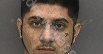 GUTIERREZ, ISAIAH JORDAN | 2018-11-15 11:19:00 Hillsborough County, Florida Booking