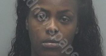 WILSON, LARISSA | 2018-11-15 02:18:00 Lee County, Florida Booking