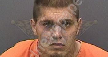 MARICH, JACOB OAKLEY | 2018-11-17 02:00:00 Hillsborough County, Florida Booking