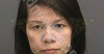 NGUYEN, NGOC HA | 2018-11-18 18:38:00 Hillsborough County, Florida Booking