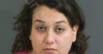 PEREZ, ERENDIRA GUADALUPE | 2018-11-18 01:45:00 Charleston County, South Carolina Booking