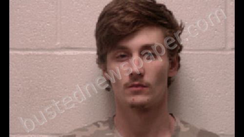 ADKINS, DAKOTA RYAN #, Robertson County, Tennessee - 2018-11-19 11:34:00