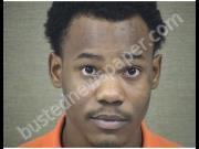 PEGUES, TYRONE | 2018-11-19 Harnett County, North Carolina Booking