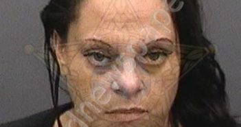 WASSERSTEIN, NATALIE A | 2018-11-20 04:10:00 Hillsborough County, Florida Booking