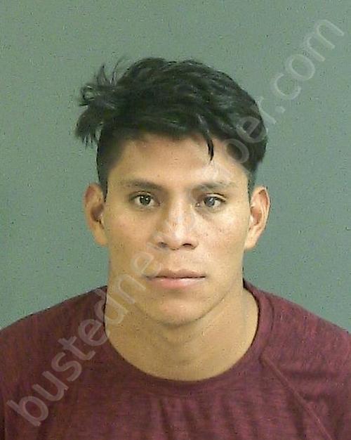 AVALOS-PEREZ, MERLIN #, Charleston County, South Carolina - 2018-11-20 20:27:00