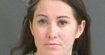 ZITNICK, CHERYL ANN | 2018-11-20 02:09:00 Charleston County, South Carolina Booking