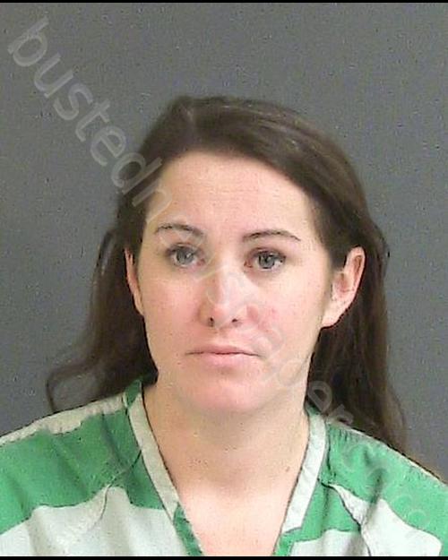 ZITNICK, CHERYL ANN #, Charleston County, South Carolina - 2018-11-20 02:09:00