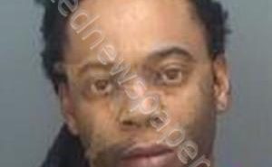 DIXON, DAVID LEON | 2018-11-20 17:38:11 Pinellas County, Florida Booking