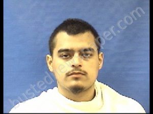 HERNANDEZ, CHRYSTAIN | 2018-11-21 20:47:00 Kaufman County, Texas Booking