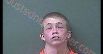 PATRIK LEE HEISLER | 2018-11-21 20:11:00 Laporte County, Indiana, La Porte County, Indiana Booking