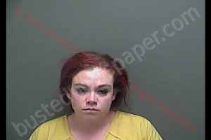 BRITTNEY NICHOLE STINE | 2018-11-21 23:32:00 Howard County, Indiana Booking