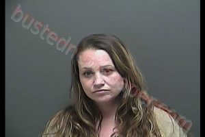 AMANDA RENEE LAWSON | 2018-11-21 00:48:00 Howard County, Indiana Booking