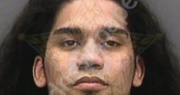 ORTEGAROSADO, JOEY | 2018-11-22 04:59:00 Hillsborough County, Florida Booking