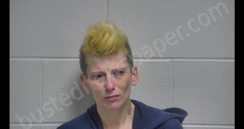 MARY VIRGINIA JOHNSON | 2018-11-23 08:56:00 Oldham County, Kentucky Booking