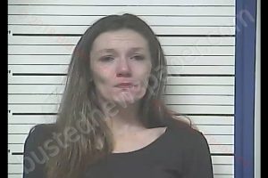 HOLLY ANN-MARIE HARRELSON | 2018-11-23 22:19:51 Bladen County, North Carolina Booking