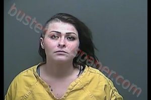 CIERA KATHERINE SWEARES | 2018-11-24 19:54:00 Howard County, Indiana Booking