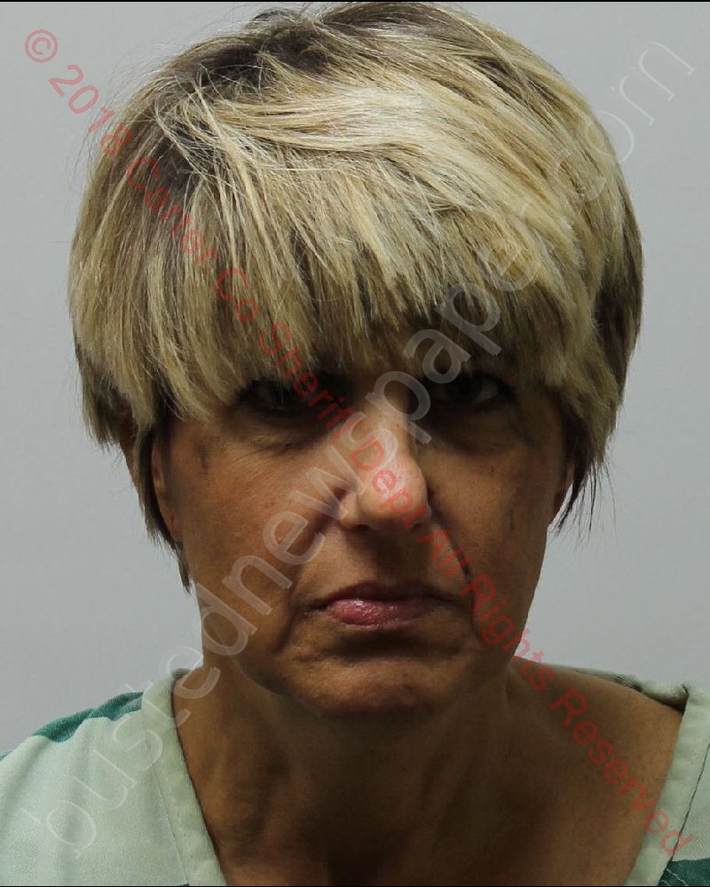 SHERRY DENISE GREGG #, Carter County, Tennessee - 2018-11-24 03:45:00