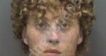 MARRA, ALEXANDER JOSEPH | 2018-11-25 19:45:00 Hillsborough County, Florida Booking