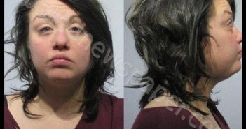 WISE, <B>ALEXANDRA</B> <B>LEE</B> #, Kendall County, Illinois - 2018-11-25 07:57:00