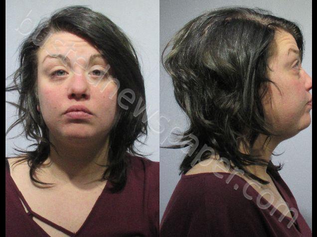 WISE, ALEXANDRA LEE #, Kendall County, Illinois - 2018-11-25 07:57:00