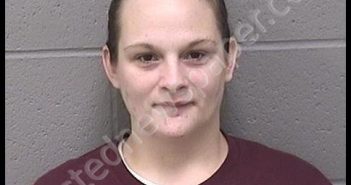 BENNER, LEAH MARIE | 2018-11-28 15:51:00 Crawford County, Kansas Booking
