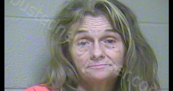 TWYLA KAY SLONE | 2018-11-28 15:18:00 Woodford County, Kentucky Booking