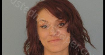 WILLIS, AMANDA SHANAE | 2018-11-28 Andrews County, Texas Booking