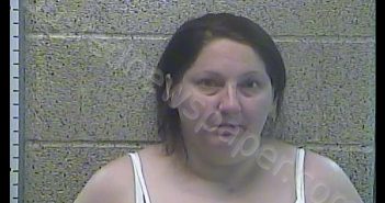 AMANDA L RIDEOUT | 2018-11-29 18:10:00 Henderson County, Kentucky Booking