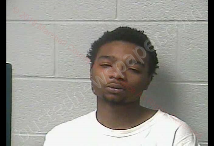 DARZELL THADDEUS WESTER #, Marshall County, Tennessee - 2018-11-29 23:02:00
