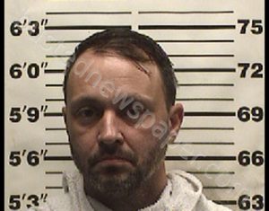 SHELTON, SHAWN WILLIAM | 2018-11-29 04:23:00 Navarro County, Texas Booking