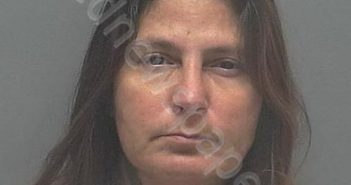 KORN, LISA MARIE | 2018-11-29 07:56:00 Lee County, Florida Booking