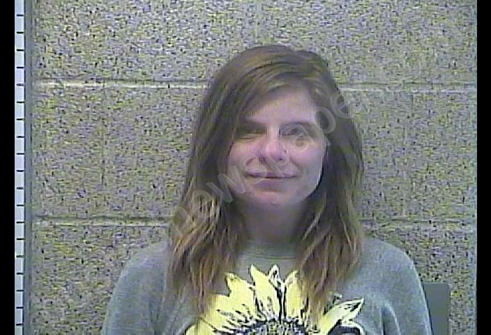 KINDRA ELIZABETH TOWERY #, Henderson County, Kentucky - 2018-11-29 18:47:00