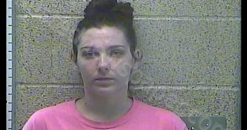 JESSICA LEIGH SUMMERS | 2018-11-29 13:37:00 Henderson County, Kentucky Booking