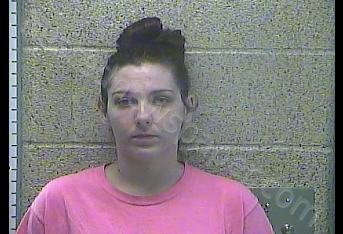 JESSICA LEIGH SUMMERS #, Henderson County, Kentucky - 2018-11-29 13:37:00