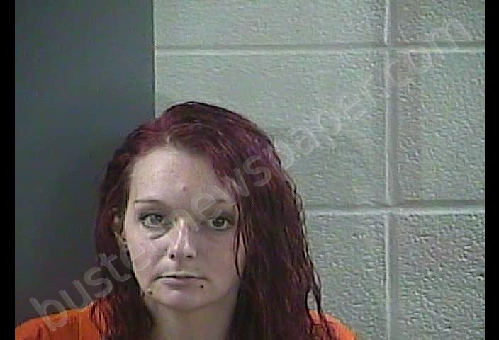 APRIL LEANN BURNETTE #, Laurel County, Kentucky - 2018-11-30 02:35:00