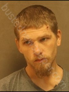 DUSTIN LANE GRESHAM | 2018-11-30 10:09:00 Johnson County, Missouri Booking