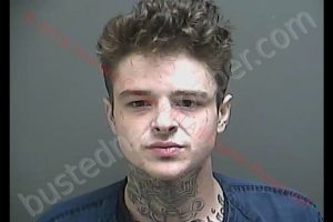 SHELDON ANDREW STURGELL | 2018-11-30 19:12:00 Howard County, Indiana Booking