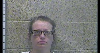 MELISSA L CECIL | 2018-11-30 15:47:00 Henderson County, Kentucky Booking