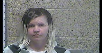 MICHELLE L MCCARTY | 2018-11-30 16:35:00 Henderson County, Kentucky Booking