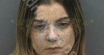 DAVIDSON, TAYLOR MARIE | 2018-12-01 04:08:00 Hillsborough County, Florida Booking