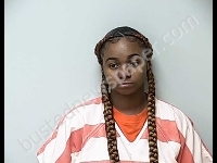 VARNER ANIRA NASHEE | 2018-12-02 Gratiot County, Michigan Booking