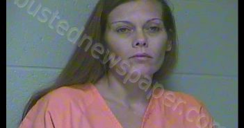 JENNIFERLEE DIANE SEAMSTER | 2018-12-03 15:07:00 Woodford County, Kentucky Booking