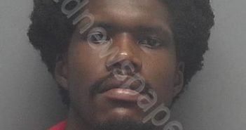 <B>YOUNG</B>, <B>TREY</B> <B>DEVON</B> #, Lee County, Florida - 2018-12-03 22:22:00