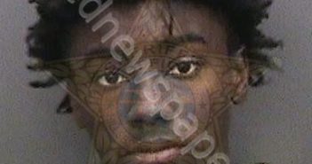 <B>STOKES</B>, <B>RONALD</B> REECHE JR #, Hillsborough County, Florida - 2018-12-03 16:37:00