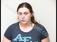 WELCH STEPHANIE ANN | 2018-12-03 Gratiot County, Michigan Booking