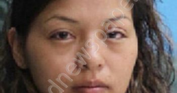 RODRIGUEZ, RUDELINA ROJAS | 2018-12-03 00:10:00 Desoto County, Florida Booking