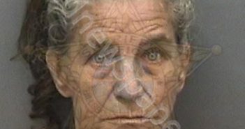 HEGLER, SHARAN LEE | 2018-12-03 18:23:00 Hillsborough County, Florida Booking