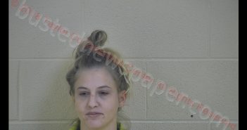 LESLIE C SMITH | 2018-12-03 19:03:00 Taylor County, Kentucky Booking